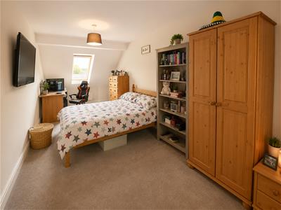 Picture 8
